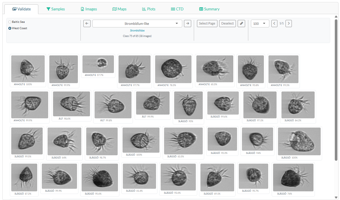 Image gallery in the Validate tab