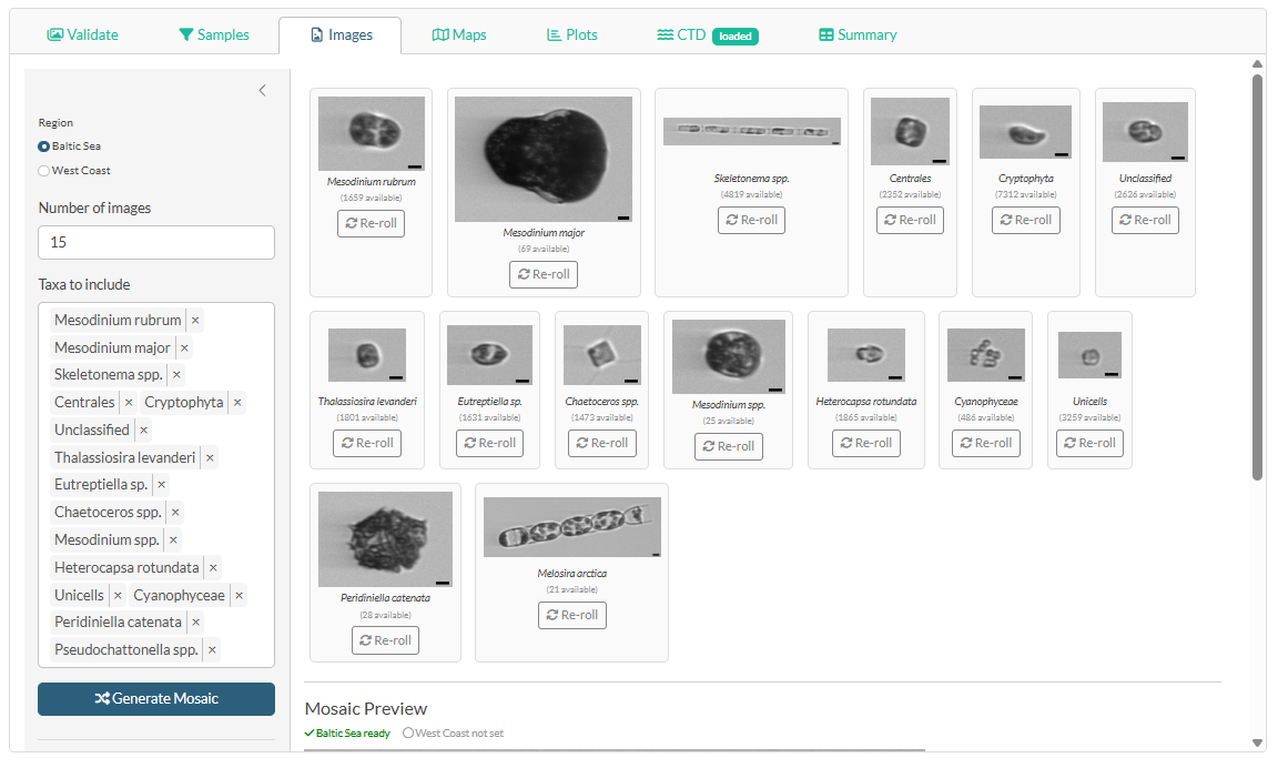 Images tab — mosaic designer